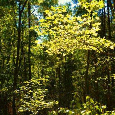 南宫NG·娱乐截图